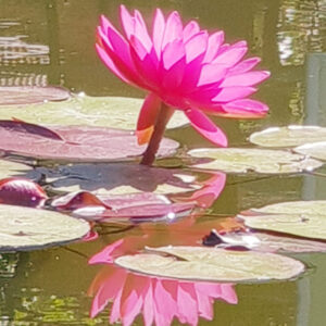 Heike Eichenseher, Yogaausbilderin und Coach